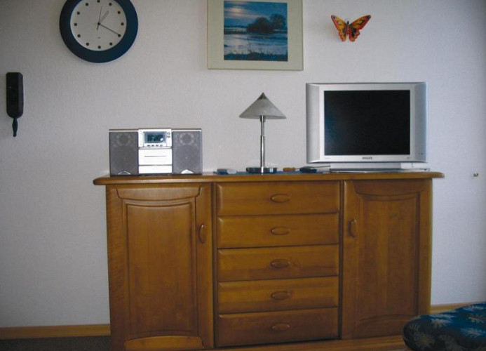 TV