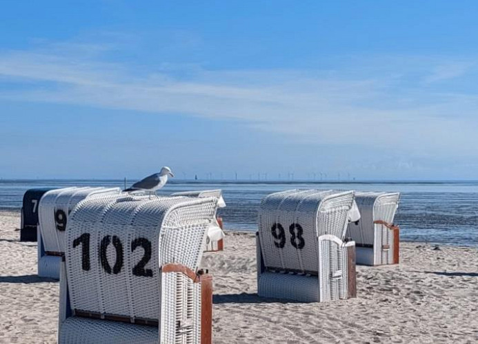Haus Wattenmeer Wo 9  Mellumweg 4