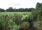 Aussicht