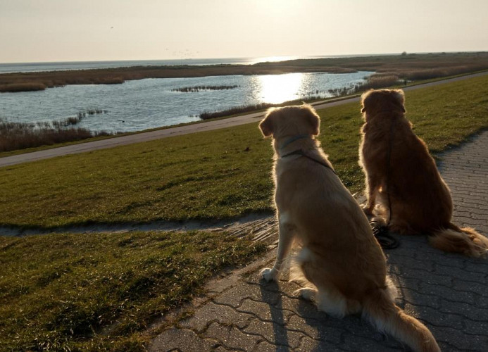 Nordsee