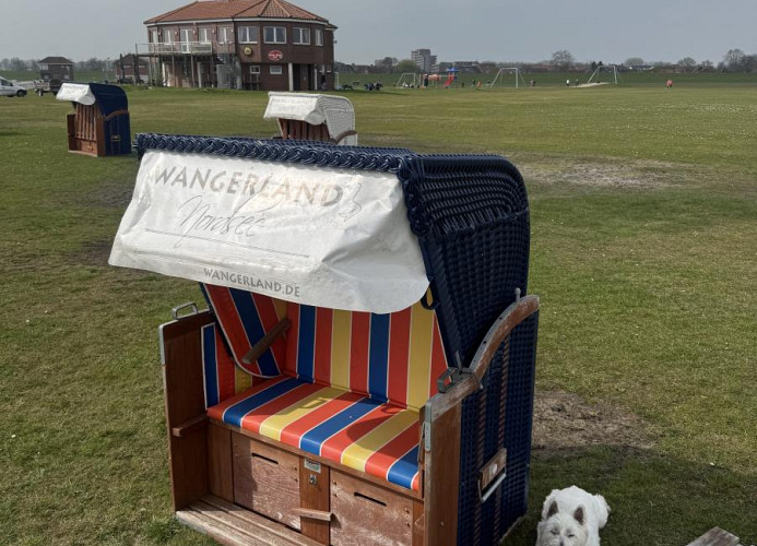 Strandkorb