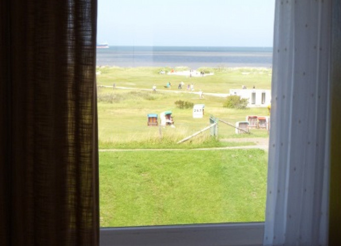 Ausblick